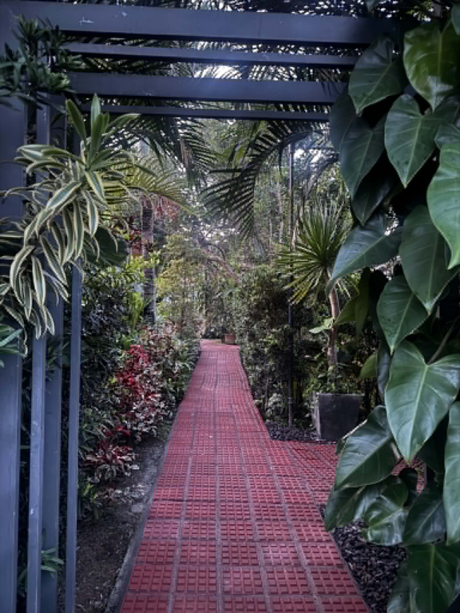 Villa 1 garden walkway with red pavers