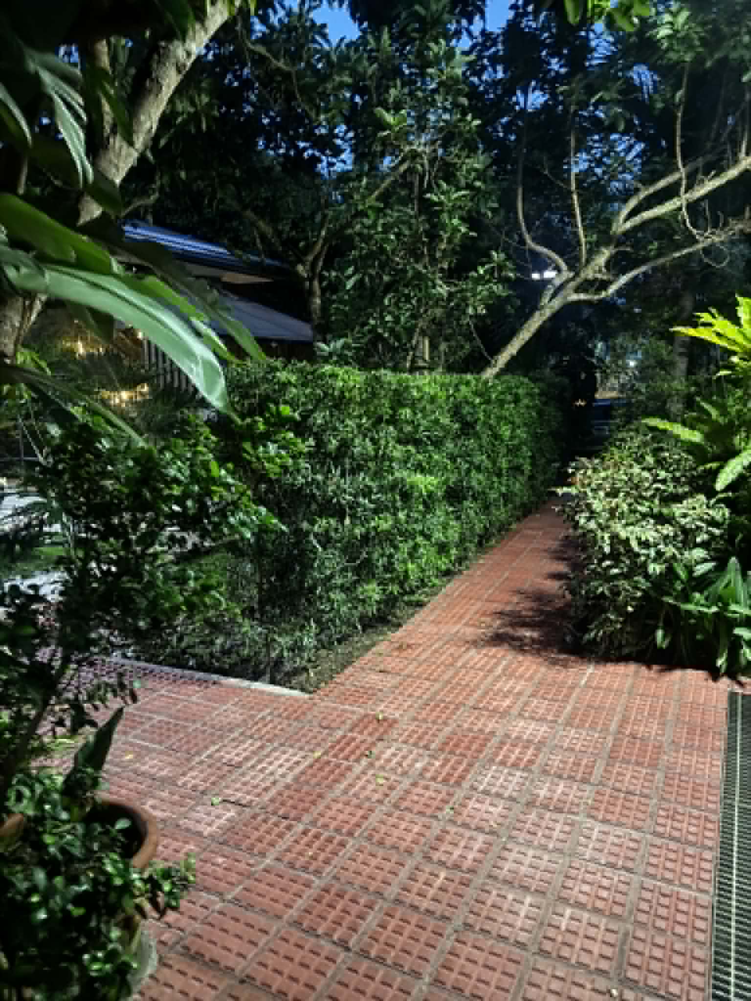 Villa 1 side walkway with plants